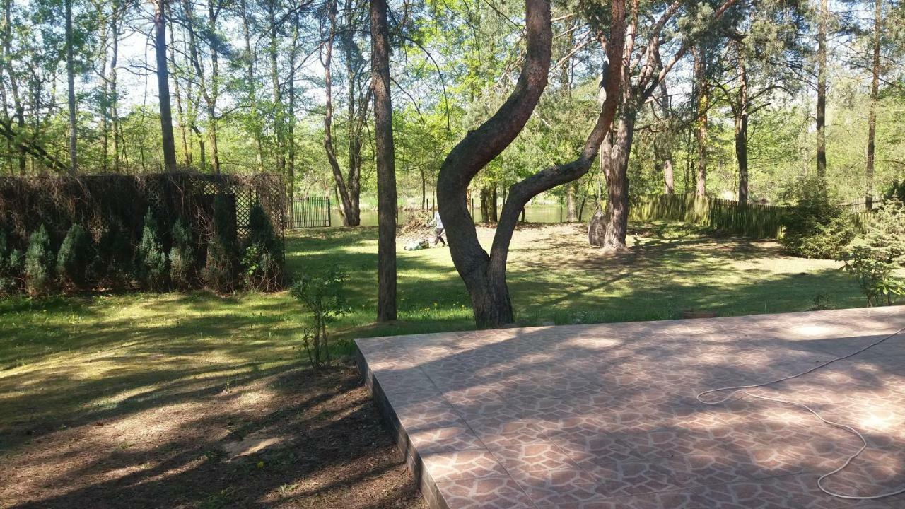 Domek Nad Narwia Dlugosiodlo Buitenkant foto
